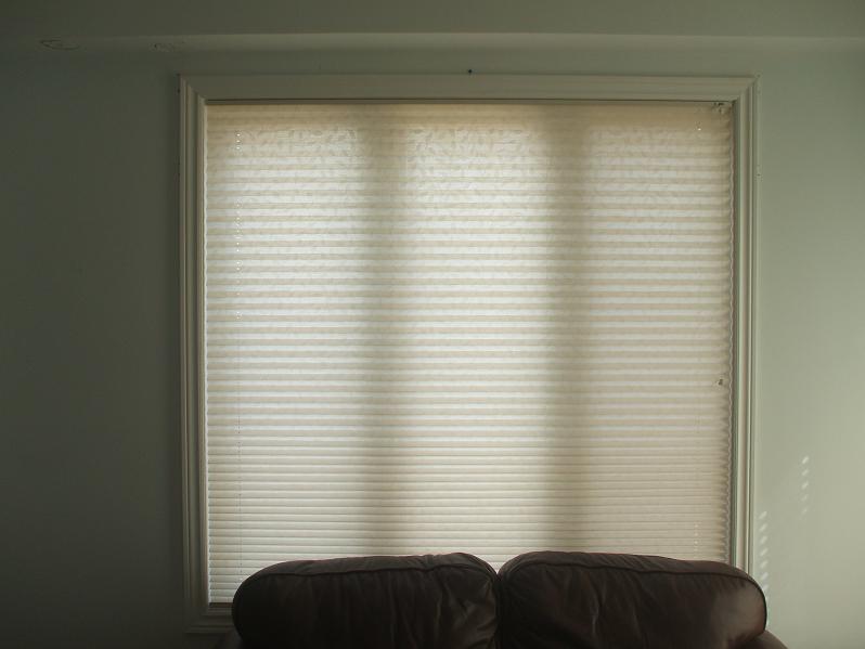 Custom Blinds Plus Ottawa Pleated Shades